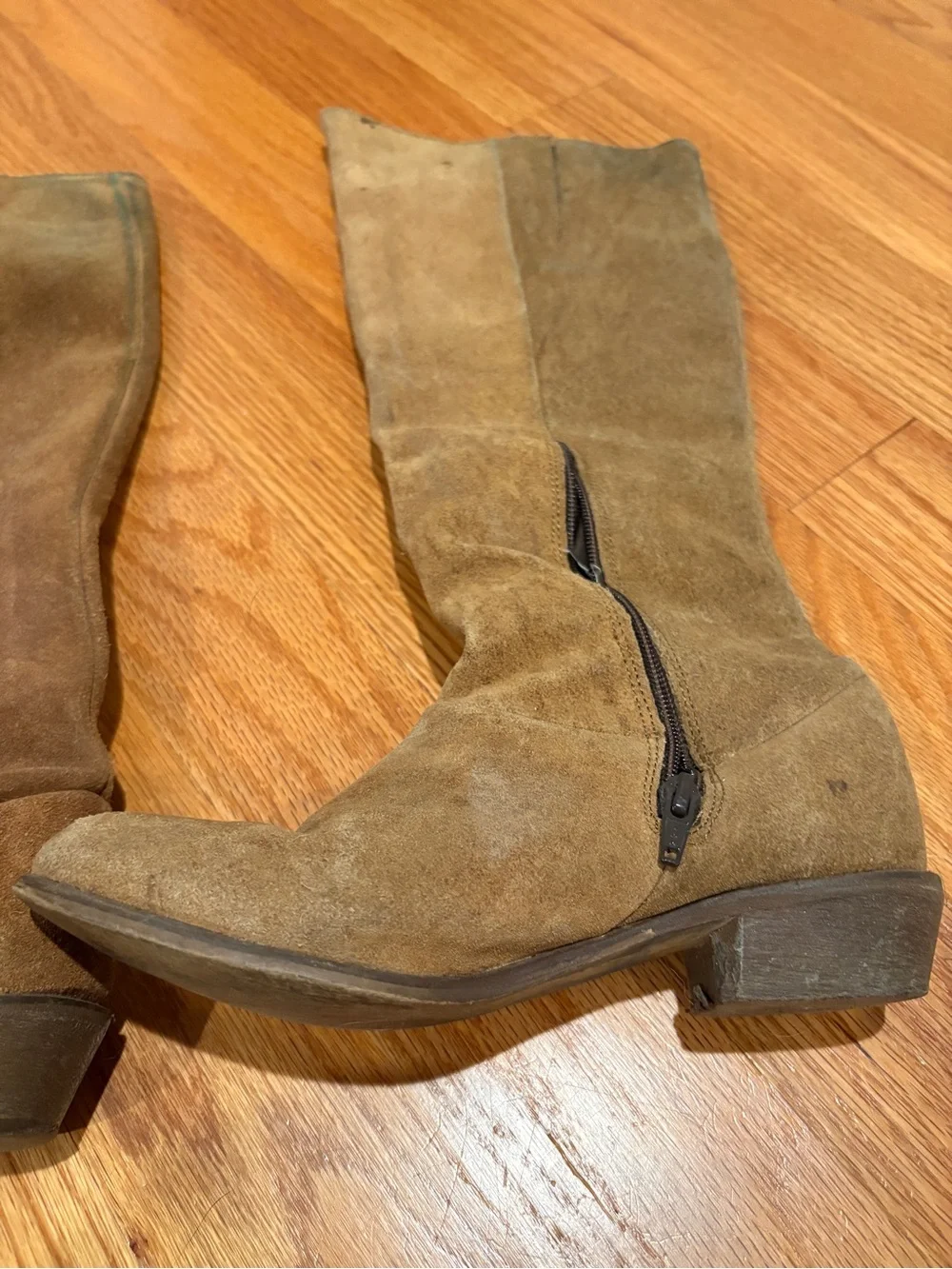 Women's Tall Suede Riding Boots - Brown